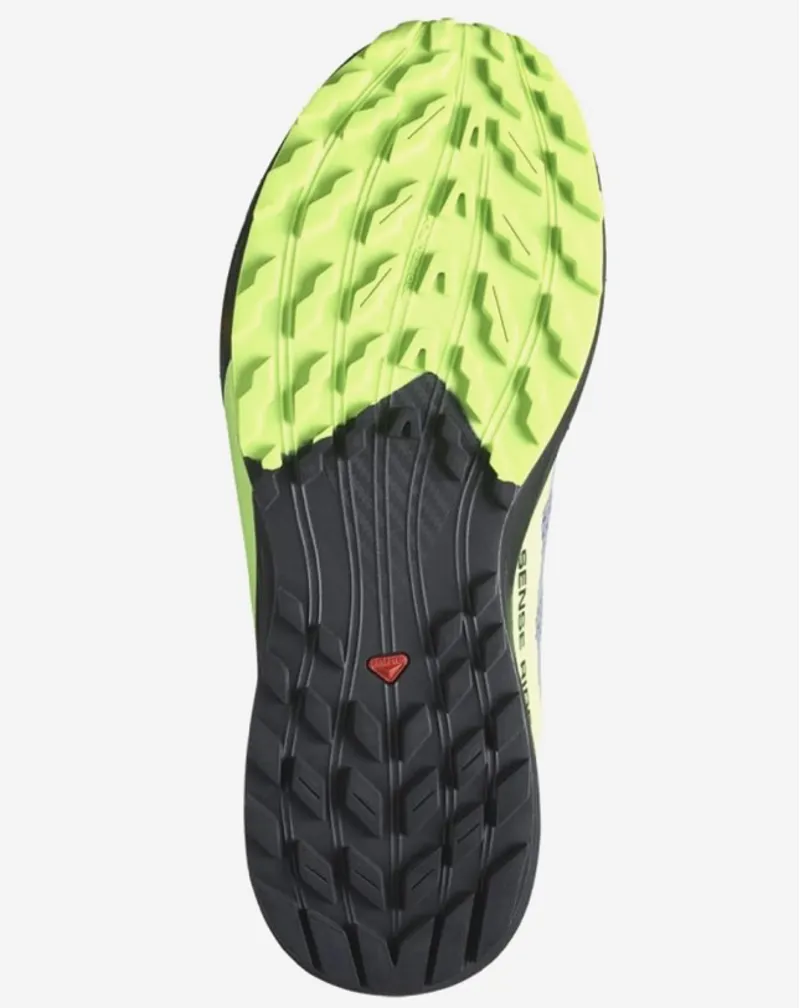 Salomon Sense Ride 5 Gore-Tex Waterproof Trail Shoe in Flint/Black-1