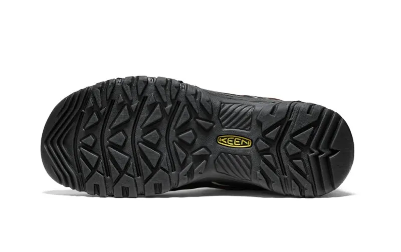 KEEN Targhee IV Waterproof Shoe in Bison/Black-4