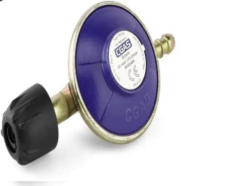 Go Systems Gas Regulator with Hose-1
