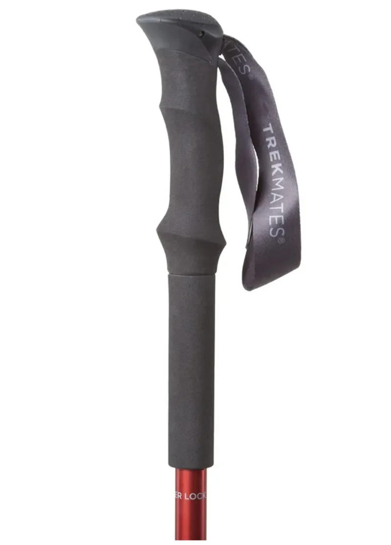 Trekmates Trekker Quick Lock Pole-1