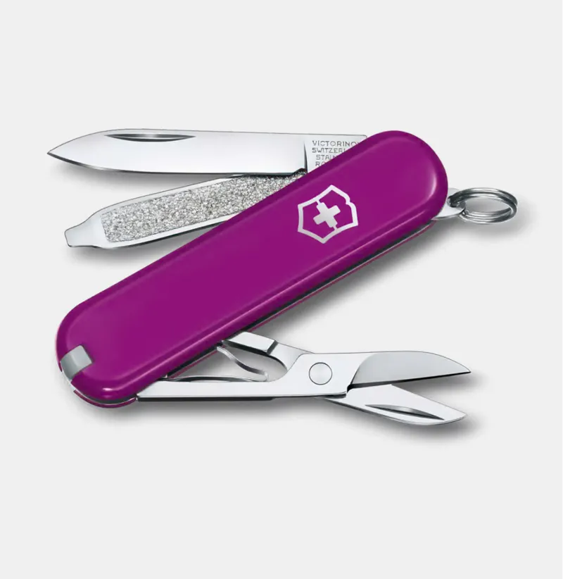Victorinox Swiss Army Classic Knife in Tasty Grape